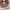 Obey Streetwear Skater T-shirt Pria white red photo 6