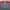 Nike Streetwear Sportswear Jersey Pria red gray photo 8
