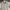 Japanese brand Streetwear Casual Formal shirt Pria cream photo 3