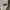 Japanese brand Streetwear Casual Formal shirt Pria cream photo 4