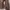 Axes Femme Cottagecore Coquette Sweater Wanita tan brown photo 4