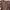 Axes Femme Cottagecore Coquette Sweater Wanita tan brown photo 2