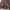 Axes Femme Cottagecore Coquette Sweater Wanita tan brown photo 3