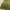 BCBG Max Azria Vintage Y2K Cami top Wanita green photo 5