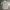 GAP Streetwear Casual Formal shirt Pria green photo 5