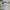 Vintage Y2K T-shirt Pria white green photo 4