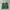 Vintage Y2K Cami top Wanita green photo 2