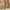 Vintage Casual Puffer jacket Wanita tan brown photo 5