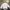 Japanese brand Vintage Casual Windbreaker Wanita cream photo 1