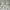 Vintage Y2K Crop top Wanita white photo 3