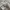 Vintage Y2K Crop top Wanita white photo 6
