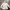 Japanese brand Vintage Casual Parka Wanita white photo 1