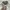 Polo Ralph Lauren Luxury Formal shirt Pria green photo 3