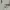 Polo Ralph Lauren Vintage Luxury Polo shirt Pria white photo 5