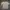 Polham Streetwear T-shirt Pria cream photo 1