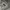 Dickies Streetwear Casual Denim jacket Pria tan cream photo 6