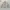 Dickies Streetwear Casual Denim jacket Pria tan cream photo 1