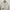 Coquette Casual Cardigan Wanita white photo 1