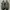 Nike Y2K Sneakers Pria black gray photo 3