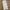 Carhartt Vintage Casual pants Pria cream photo 2