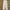 Carhartt Vintage Casual Pants Pria Cream