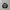 BASIC HOUSE Casual Sweatshirt Pria multicolor photo 1