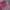 Vintage Streetwear Bomber jacket Pria burgundy red photo 2