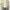 Ocean Pacific Vintage Streetwear Harrington jacket Pria tan cream photo 8