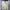 Ocean Pacific Vintage Streetwear Harrington jacket Pria tan cream photo 7
