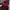 Head Vintage Gorpcore Windbreaker Pria Red