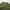 Streetwear Casual Puffer jacket Pria green photo 3