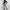 Shein Minimalist Casual Flare pants Wanita white black photo 8