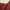 Minimalist Casual Blouse Wanita burgundy photo 3
