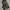 Streetwear Sportswear Short Pria multicolor photo 4