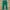 Napapijri Casual Casual pants Pria green photo 1