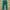 Napapijri Casual Casual Pants Pria Green