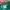 Napapijri Casual Casual pants Pria green photo 4