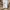 Avirex Casual Denim jacket Pria tan photo 8