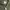 Japanese brand Casual Pea coat Pria green photo 4