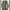 Japanese brand Casual Pea coat Pria green photo 1