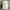 Japanese brand Casual Pea coat Pria green photo 7