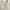 Japanese brand Casual Leather jacket Pria cream photo 5