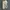 Onitsuka Tiger Streetwear Casual Sneakers Pria green khaki photo 5