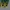 Puma Streetwear Casual Sneakers Wanita green yellow photo 4