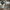 Casual Reworked Fur coat Pria tan cream photo 5