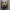 Casual Reworked Fur coat Pria tan cream photo 3