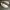 Adidas Sportswear Sneakers Pria white gray photo 1