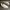Adidas Sportswear Sneakers Pria White Gray