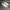 Adidas Sportswear Sneakers Pria white gray photo 2