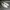 Adidas Sportswear Sneakers Pria White Gray